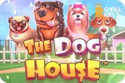 The Dog House